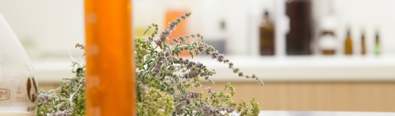 Immune Support Supplement & Vitamins | Reduced Prices